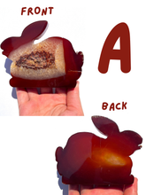 Load image into Gallery viewer, Large Carnelian Druzy Bunnies, Choose Your Own NEW!
