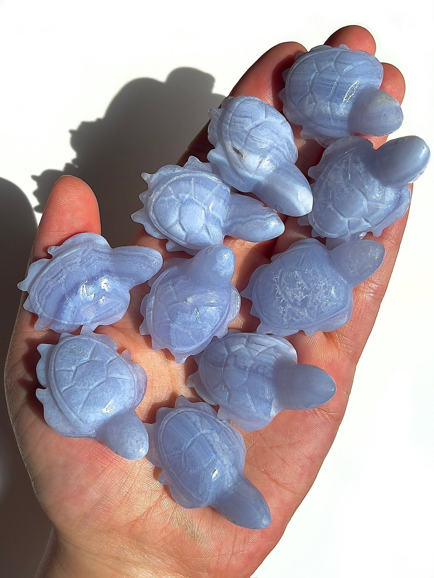 Blue Lace Agate Turtles