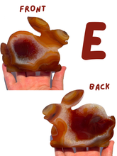 Load image into Gallery viewer, Large Carnelian Druzy Bunnies, Choose Your Own NEW!
