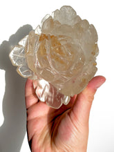 Load image into Gallery viewer, Golden Healer Peony NEW!
