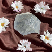 Load image into Gallery viewer, ⊹ Selenite Gypsum, Rough ⊹ Found Personally by the Shop Owner!
