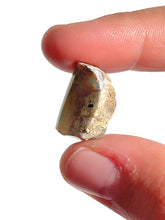 Load image into Gallery viewer, Raw Ethiopian Opal NEW!
