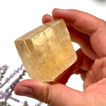 Load image into Gallery viewer, ⊹ Optical Honey Calcite, Rough ⊹
