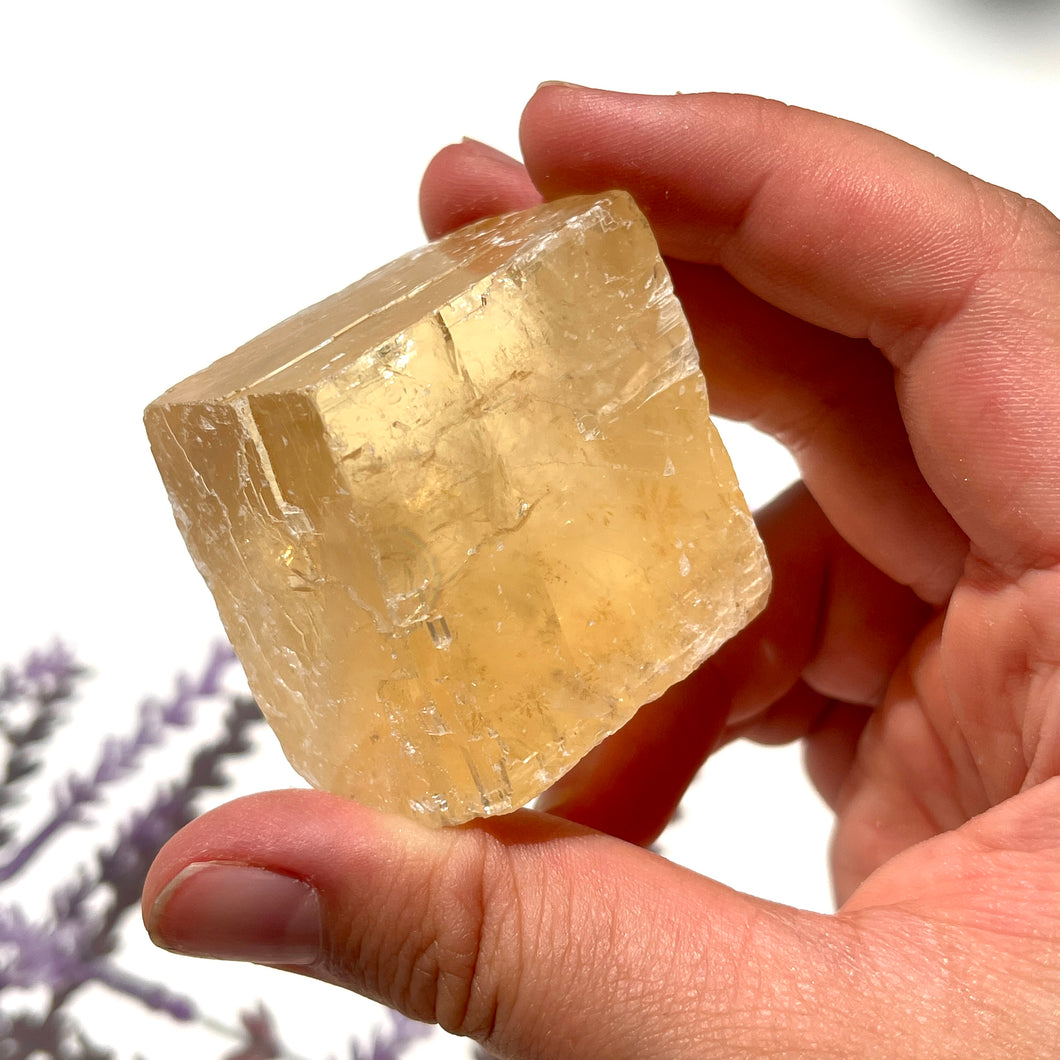 ⊹ Optical Honey Calcite, Rough ⊹