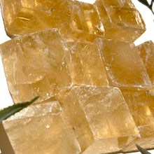 Load image into Gallery viewer, ⊹ Optical Honey Calcite, Rough ⊹
