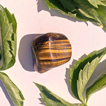 Load image into Gallery viewer, ⊹ Tigers Eye, Tumbled ⊹
