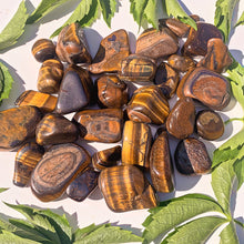 Load image into Gallery viewer, ⊹ Tigers Eye, Tumbled ⊹
