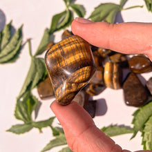 Load image into Gallery viewer, ⊹ Tigers Eye, Tumbled ⊹
