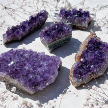 Load image into Gallery viewer, ⊹ Amethyst Clusters ⊹

