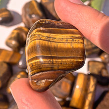 Load image into Gallery viewer, ⊹ Tigers Eye, Tumbled ⊹
