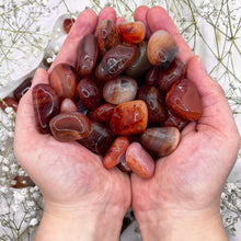 Load image into Gallery viewer, ⊹ Carnelian, Tumbled ⊹
